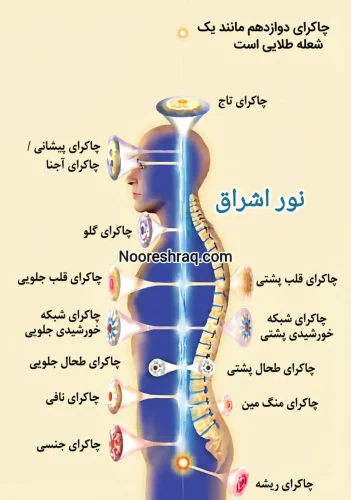 چاکرا ها
